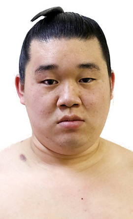 Portrait of the sumo wrestler