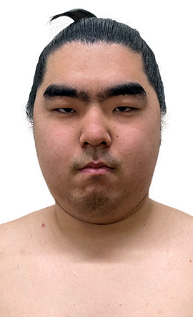 Portrait of the sumo wrestler