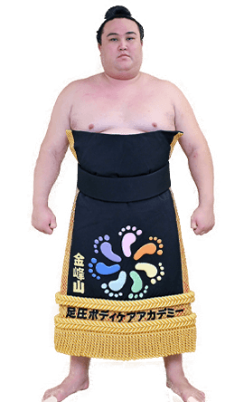 Portrait of the sumo wrestler