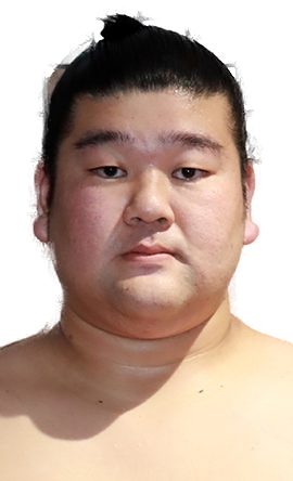 Portrait of the sumo wrestler