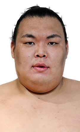 Portrait of the sumo wrestler