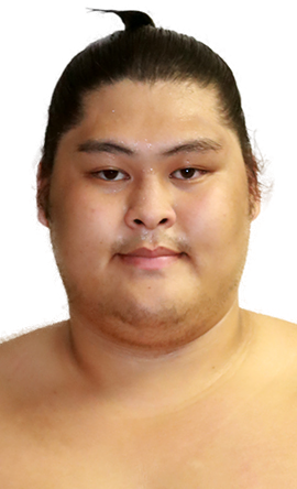 Portrait of the sumo wrestler