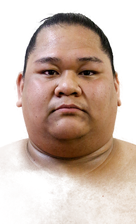 Portrait of the sumo wrestler