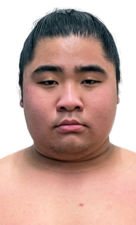 Portrait of the sumo wrestler