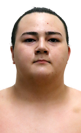 Portrait of the sumo wrestler