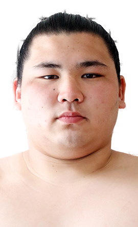 Portrait of the sumo wrestler