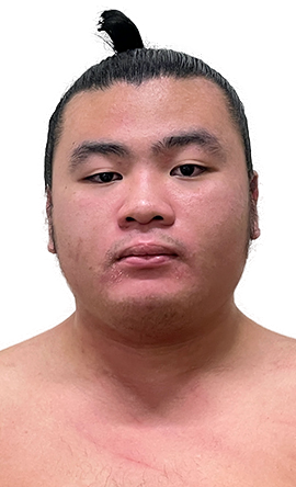 Portrait of the sumo wrestler