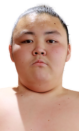 Portrait of the sumo wrestler