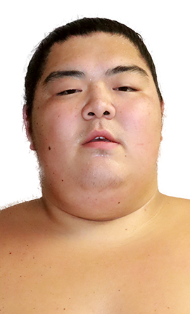 Portrait of the sumo wrestler