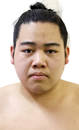 Portrait of the sumo wrestler