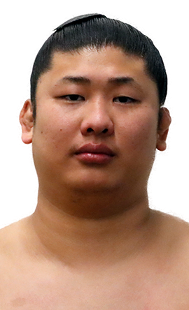 Portrait of the sumo wrestler