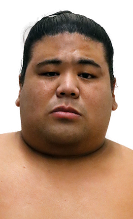 Portrait of the sumo wrestler