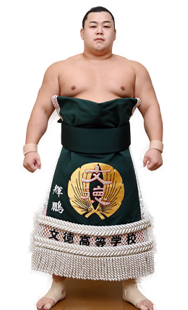 Portrait of the sumo wrestler