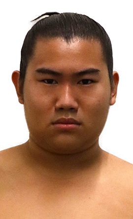 Portrait of the sumo wrestler