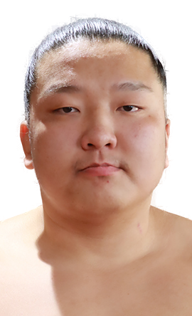 Portrait of the sumo wrestler