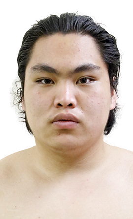 Portrait of the sumo wrestler