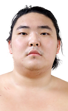 Portrait of the sumo wrestler