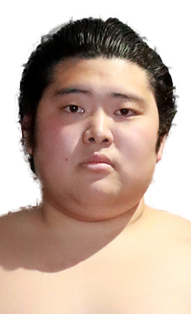 Portrait of the sumo wrestler