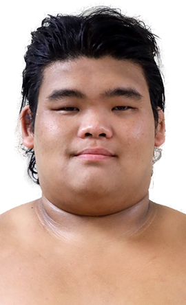 Portrait of the sumo wrestler