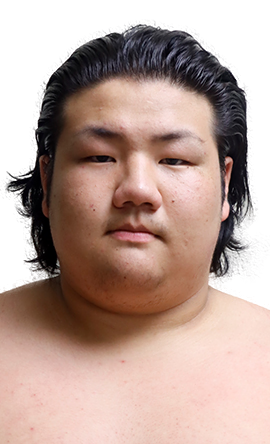 Portrait of the sumo wrestler