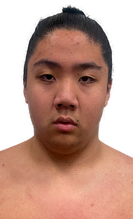 Portrait of the sumo wrestler