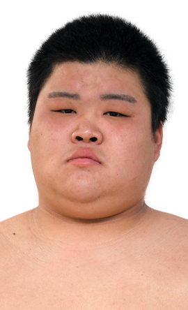 Portrait of the sumo wrestler