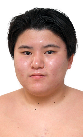 Portrait of the sumo wrestler