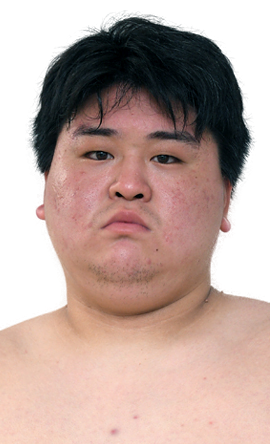 Portrait of the sumo wrestler