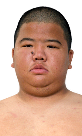 Portrait of the sumo wrestler