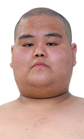 Portrait of the sumo wrestler