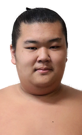 Portrait of the sumo wrestler