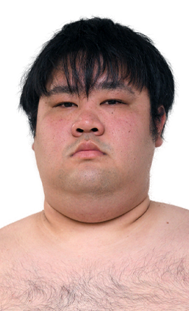 Portrait of the sumo wrestler