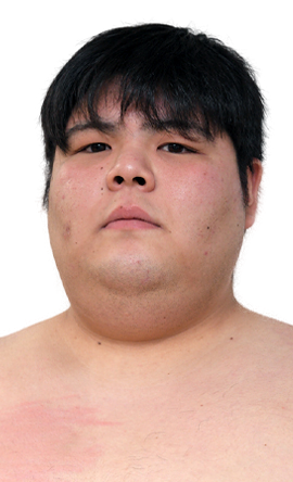 Portrait of the sumo wrestler