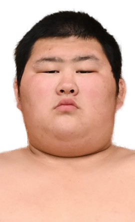 Portrait of the sumo wrestler