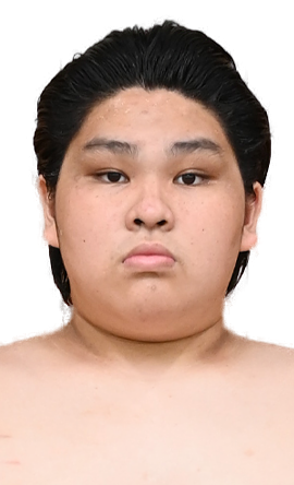 Portrait of the sumo wrestler