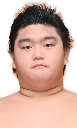 Portrait of the sumo wrestler