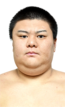 Portrait of the sumo wrestler