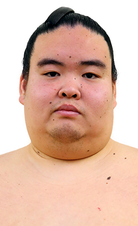 Portrait of the sumo wrestler