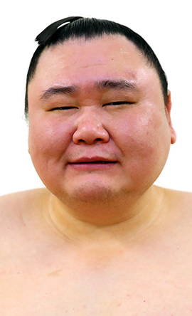 Portrait of the sumo wrestler