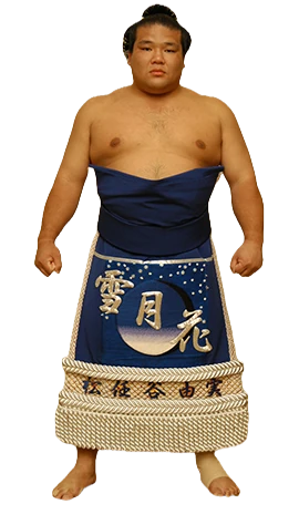 Portrait of the sumo wrestler