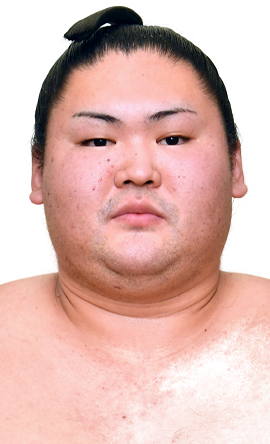 Portrait of the sumo wrestler