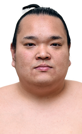 Portrait of the sumo wrestler