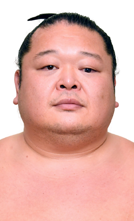 Portrait of the sumo wrestler