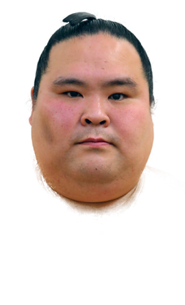 Portrait of the sumo wrestler