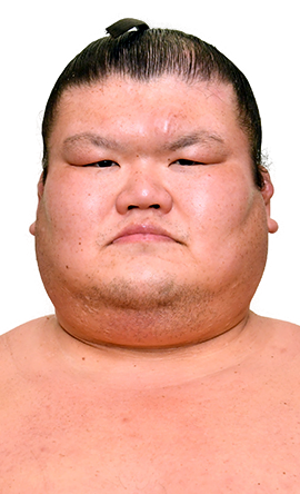 Portrait of the sumo wrestler