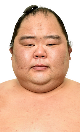 Portrait of the sumo wrestler