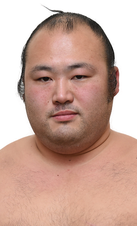 Portrait of the sumo wrestler