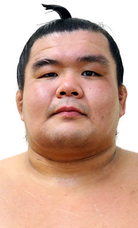 Portrait of the sumo wrestler