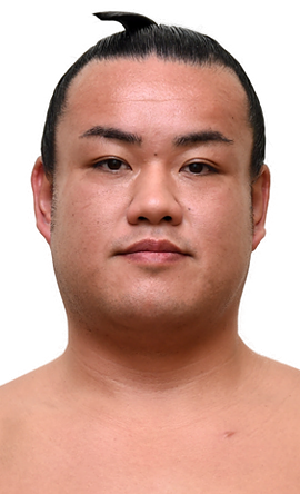 Portrait of the sumo wrestler