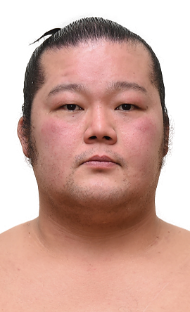 Portrait of the sumo wrestler